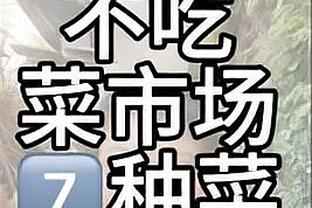 开云电竞app官方下载截图3